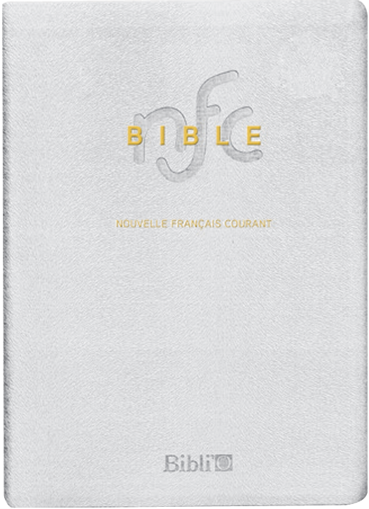 NOUVEAU FRANCAIS COURANT SB1133
